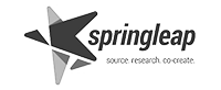 SpringLeap